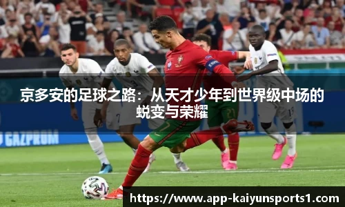 开云体育官网